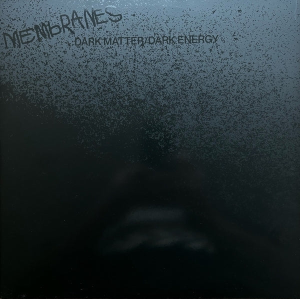 THE MEMBRANES Dark Matter/Dark Energy