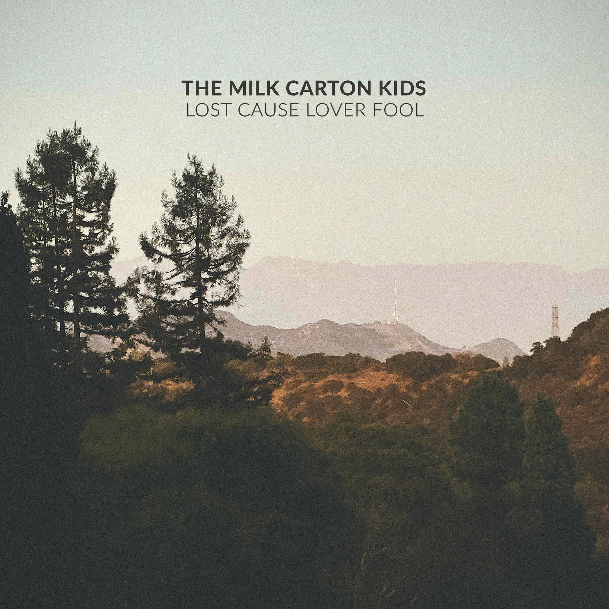 The Milk Carton Kids Lost Cause Lover Fool [Standard Black Vinyl]