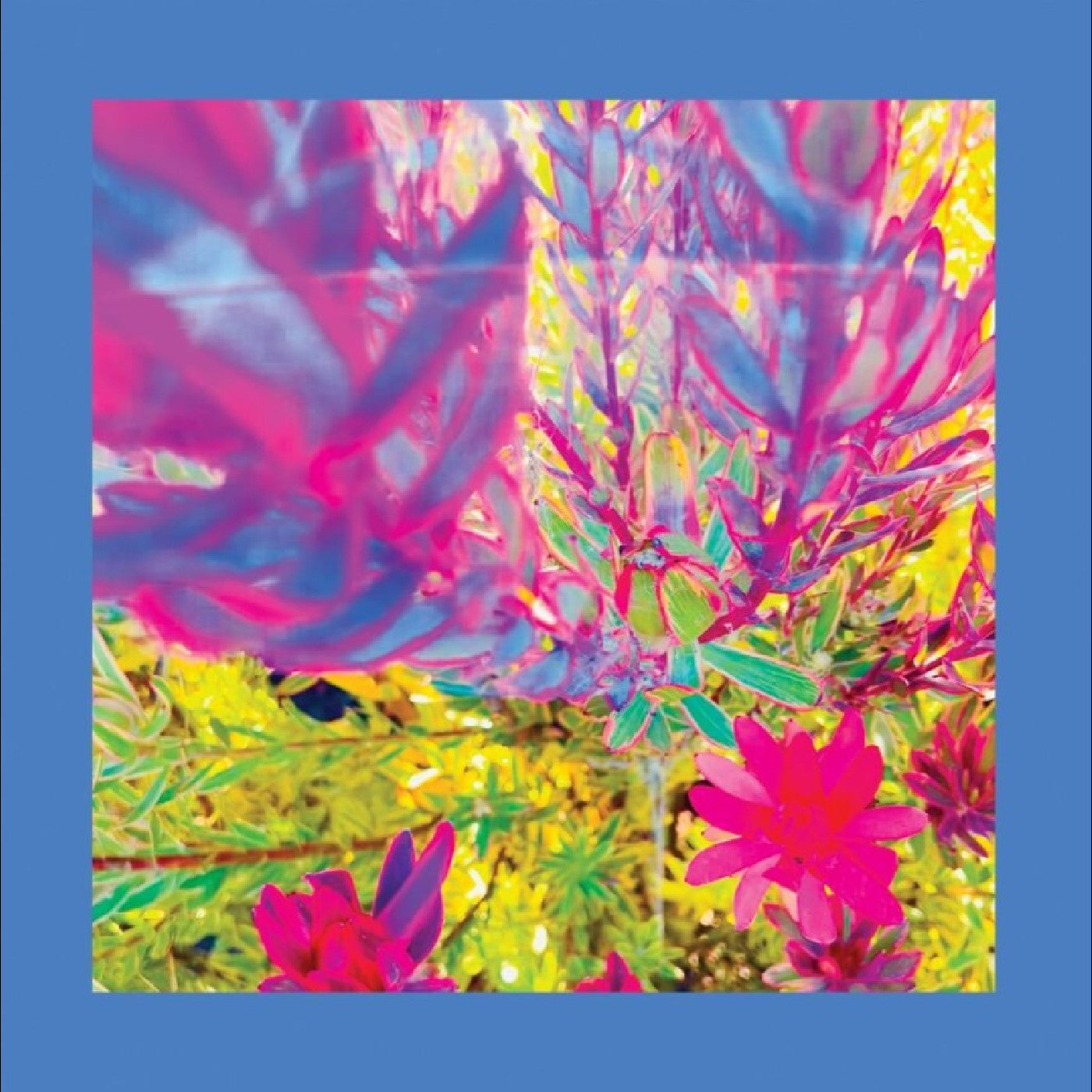 The Reds Pinks & Purples The Past Is A Garden I Never Fed (Sky Blue Vinyl)