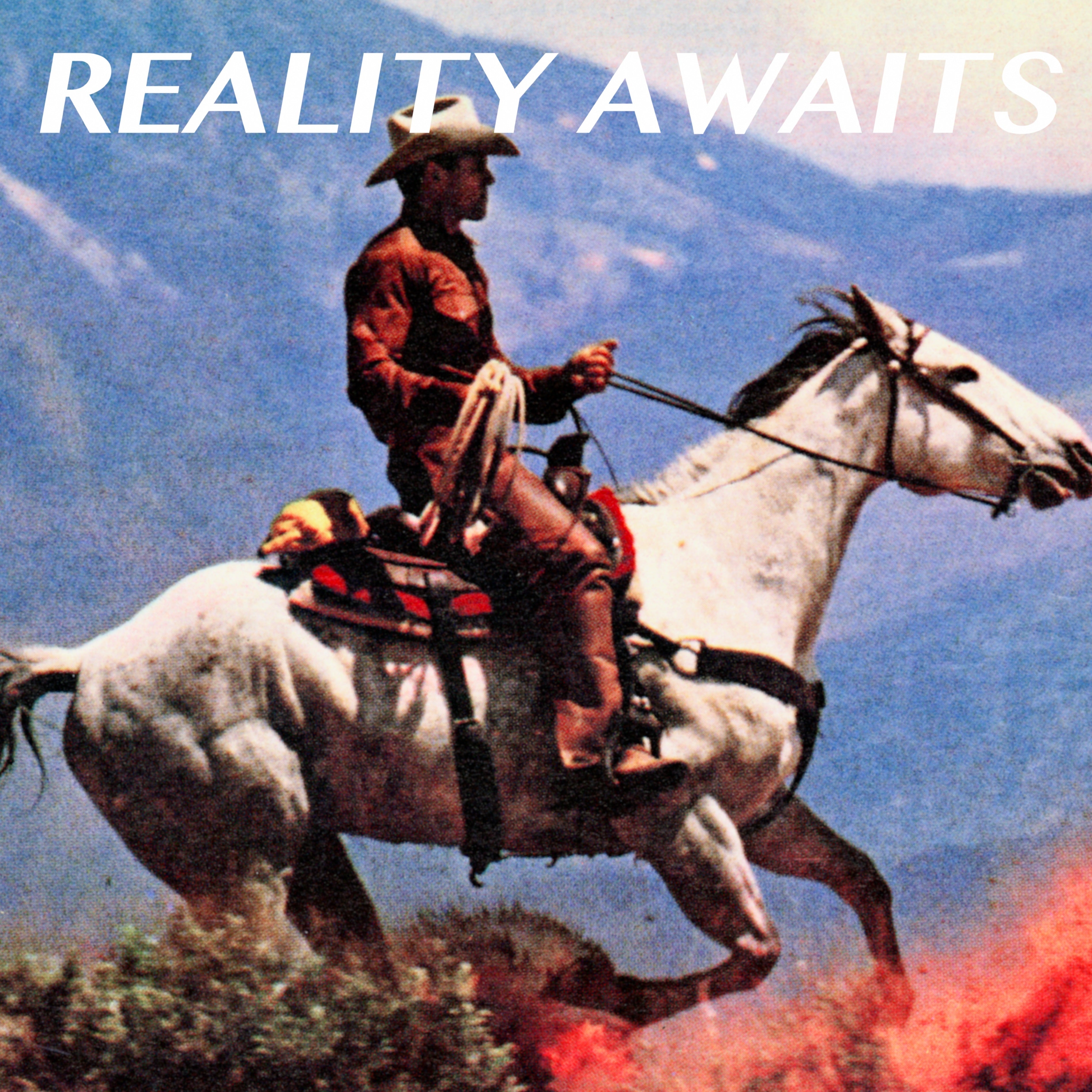 The Strokes Reality Awaits (12 Page Booklet)