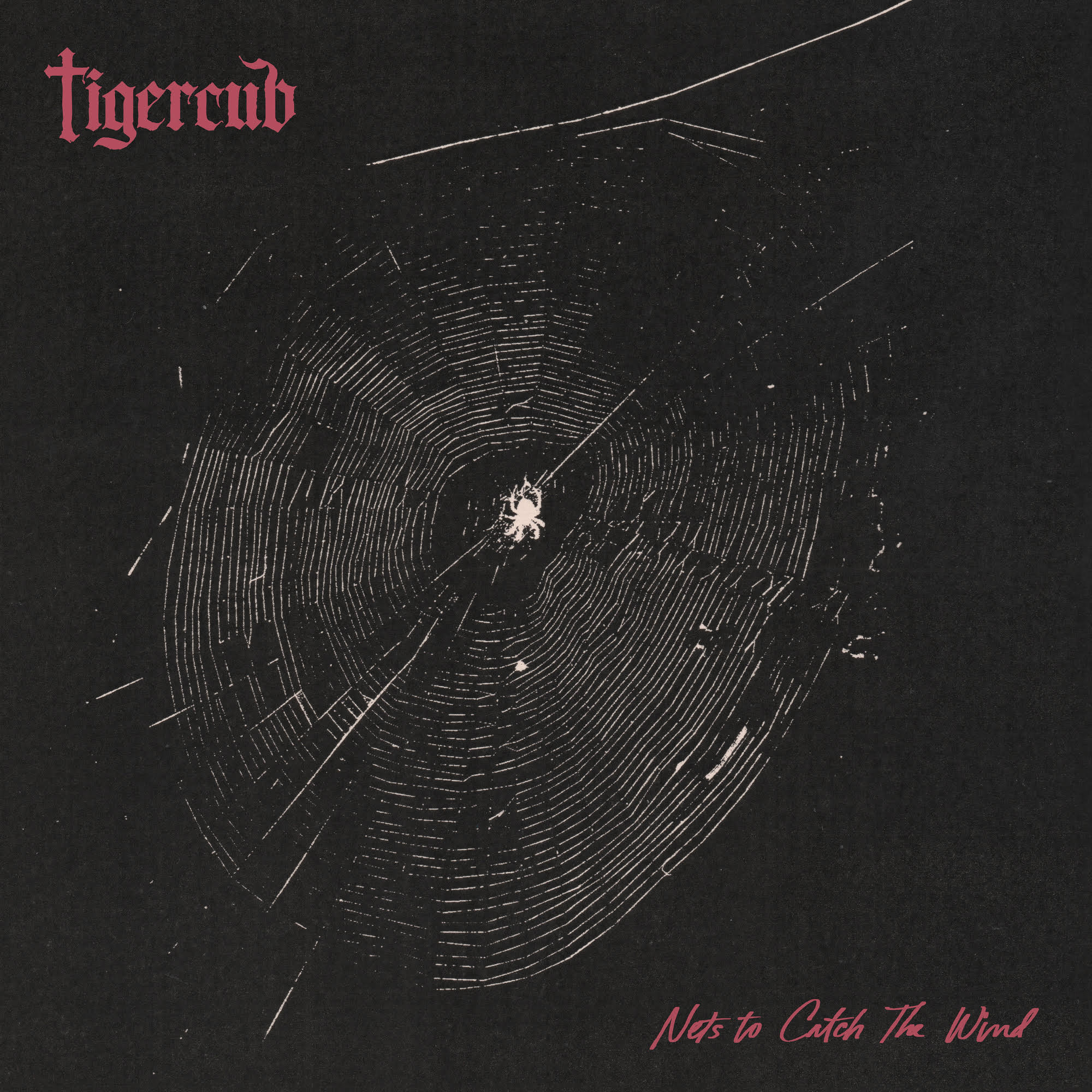Tigercub Nets To Catch The Wind (Indie Exclusive) [Graphite Vinyl]