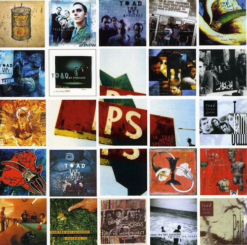 Toad The Wet Sprocket P.S. A Toad Retrospective