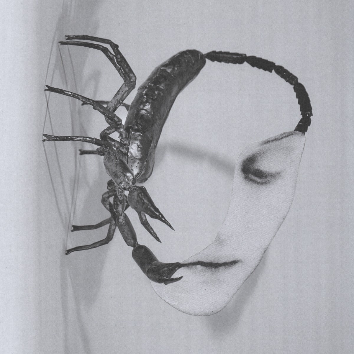 Tortoise Touch [CD]