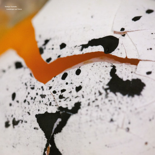 TOSHIYA TSUNODA Landscape and Voice