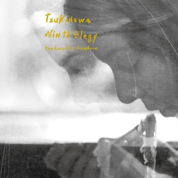Tsuki No Wa Ninth Elegy
