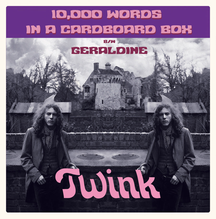 Twink 10,000 Words In A Cardboard Box