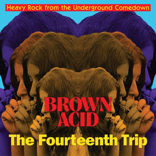 Va Brown Acid - The Fourteenth Trip
