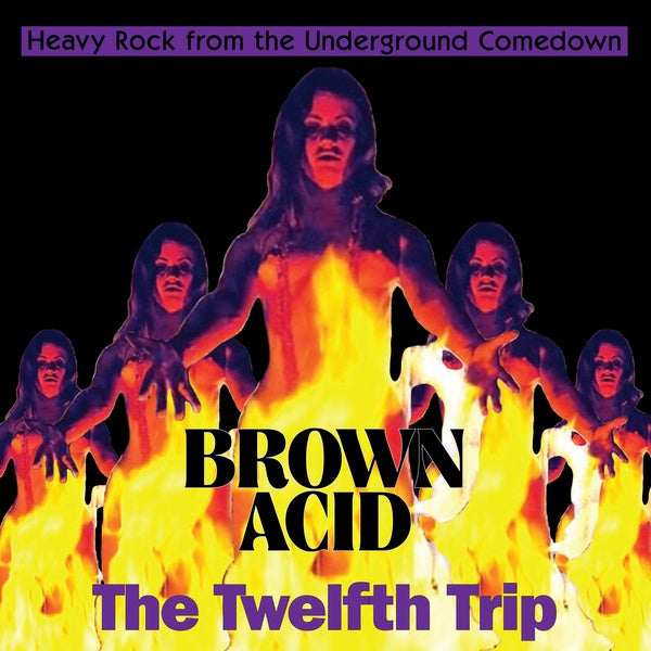 Va Brown Acid - The Twelfth Trip