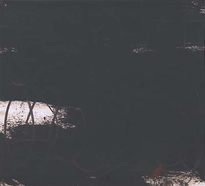 Va Idioscapes