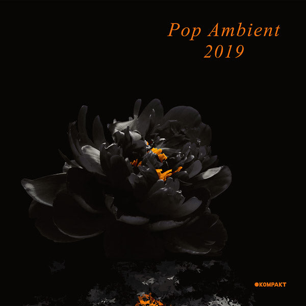 Va Pop Ambient 2019