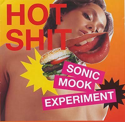 Va Sonic Mook Experiment 3: Hot Shit