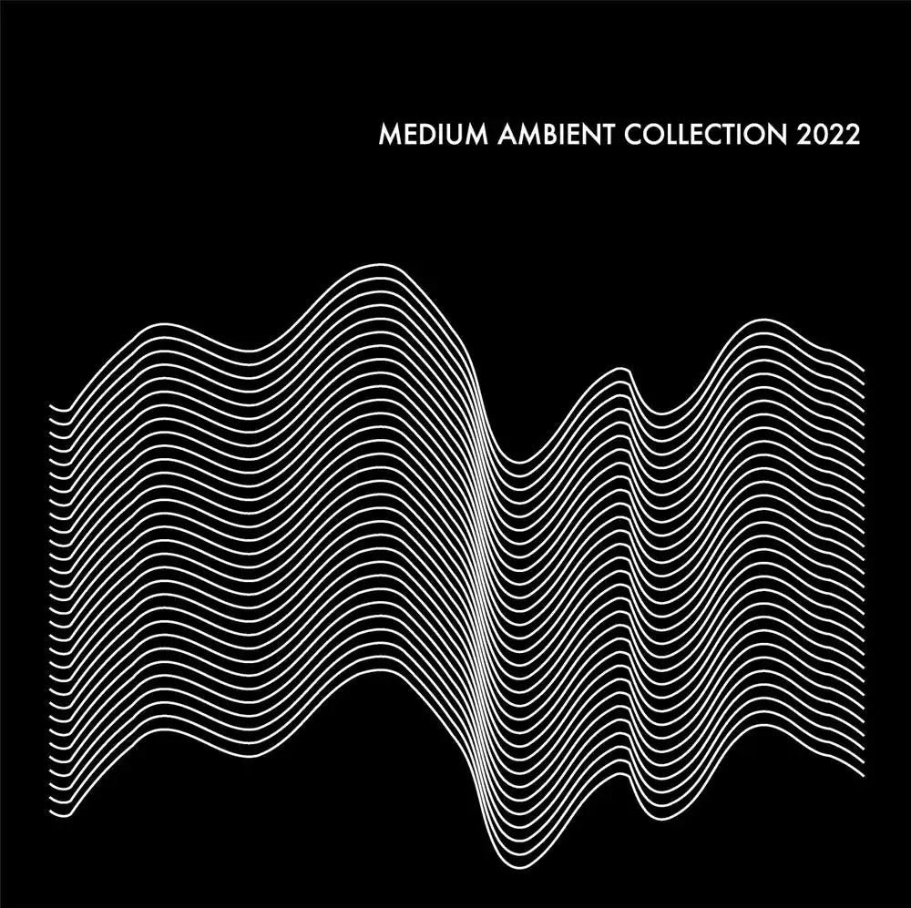 Various Artists Medium Ambient Collection 2022 Black