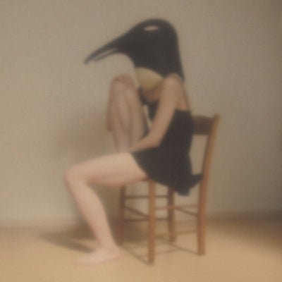 Various Artists Penguin Cafe Orchestra-Tribute-