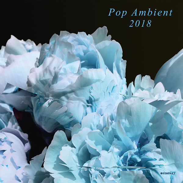 Various Artists Pop Ambient 2018