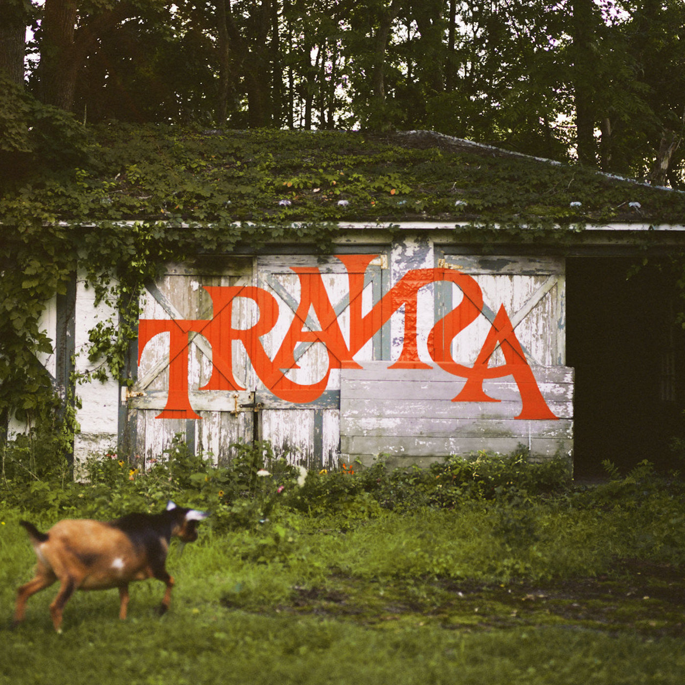 Various Artists Transa (Deluxe Edition)