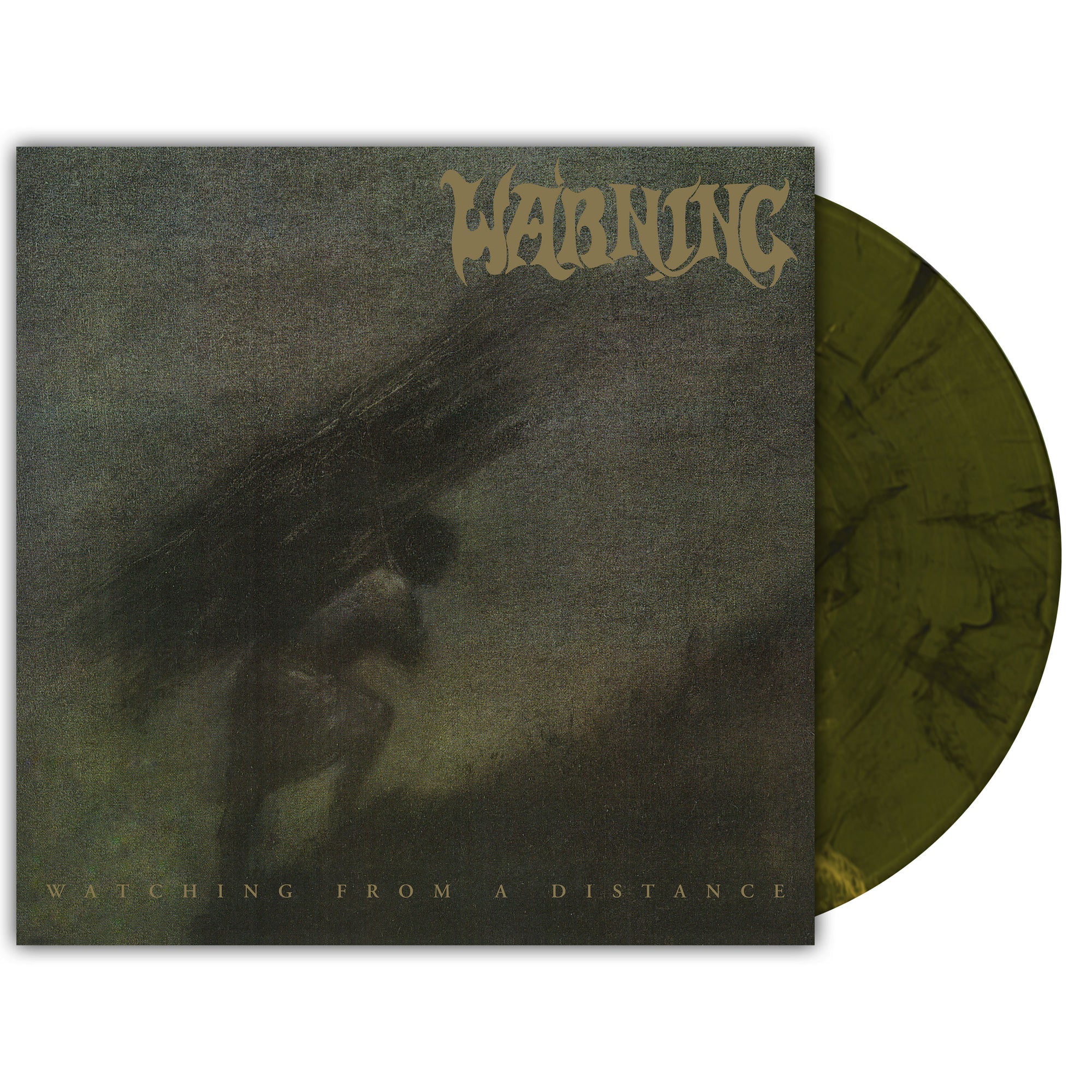 Warning Watching From A Distance [Labradorite Marble Vinyl] [2LP]