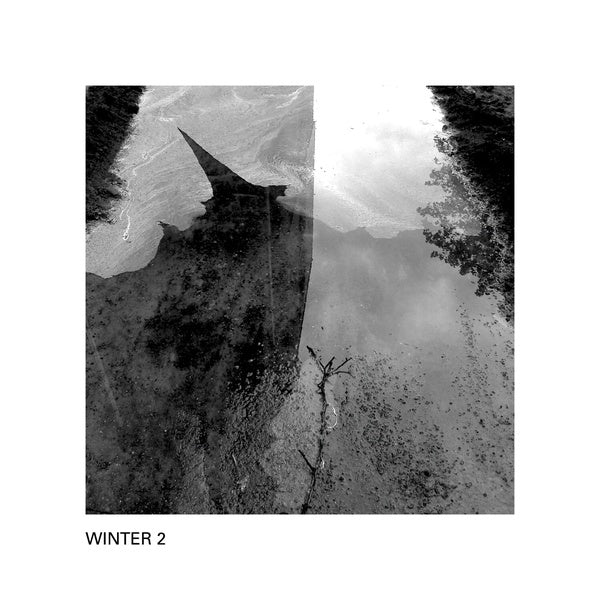 WINTER 2 Winter 2