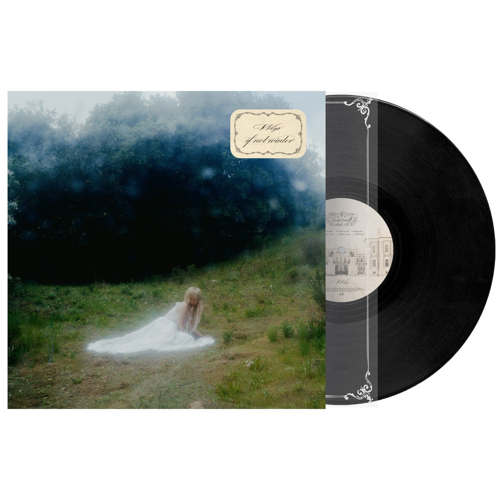 Wisp If Not Winter [Lp] cutout