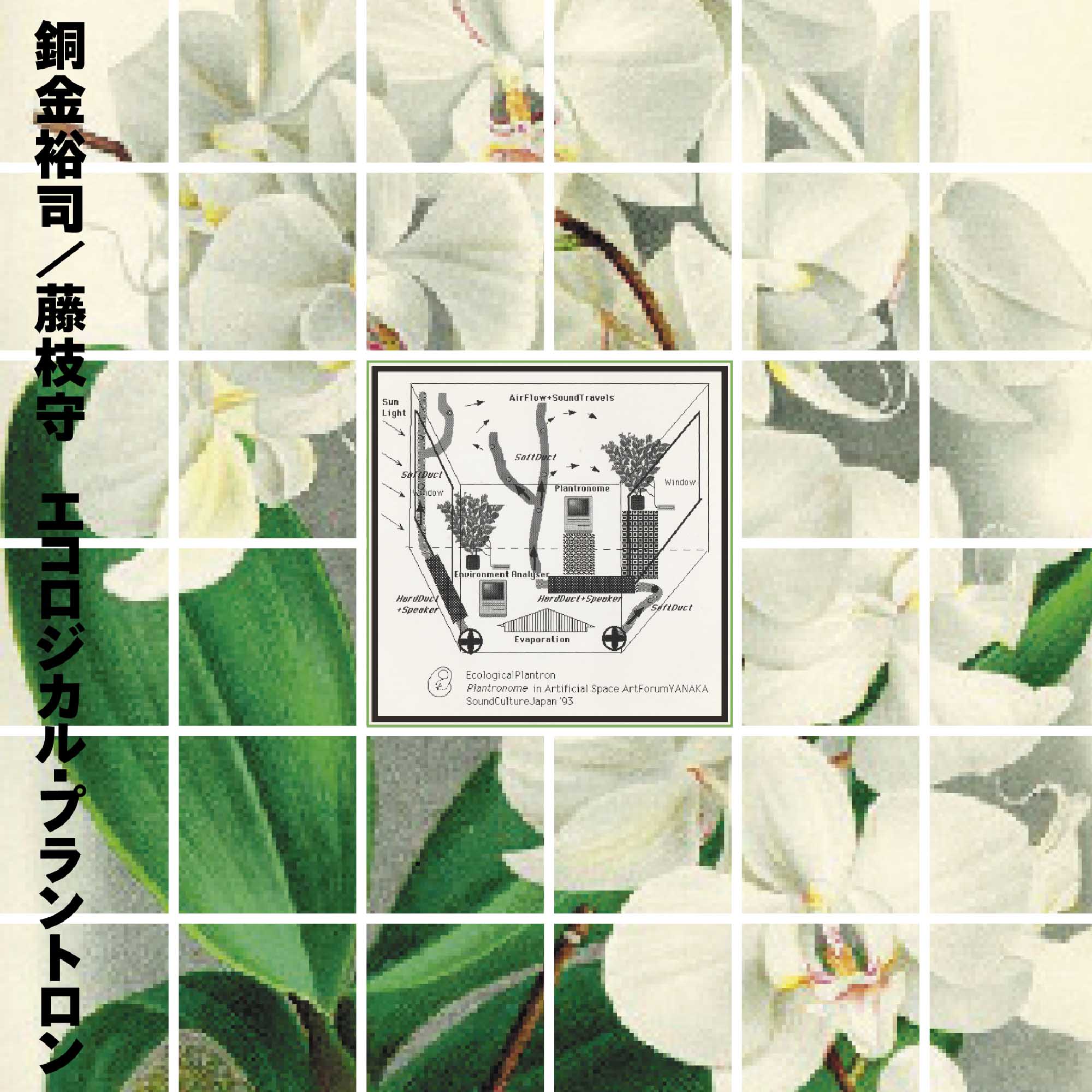 Yuji Dogane and Mamoru Fujieda Ecological Plantron