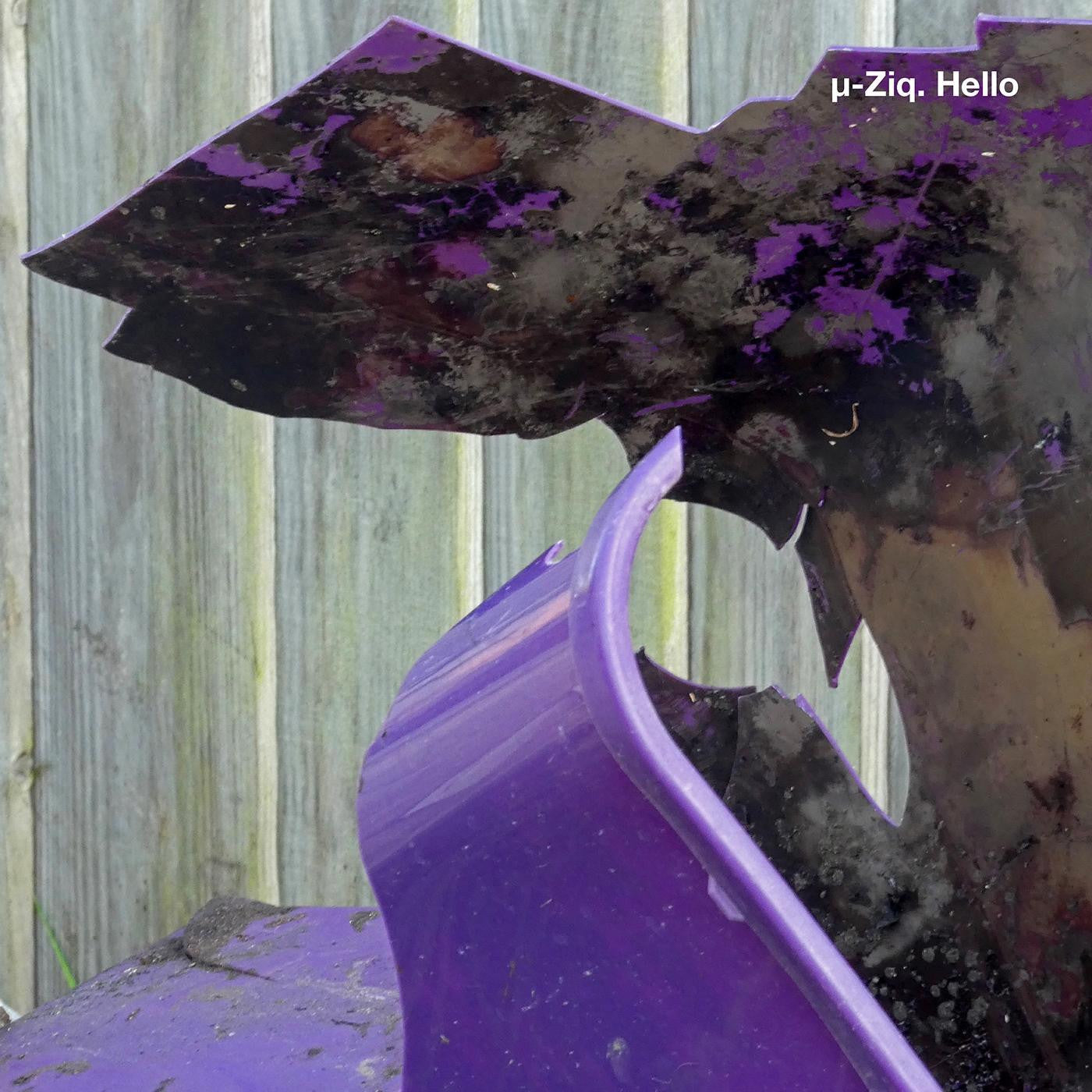 µ-Ziq Hello/Goodbye